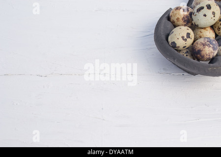 Quail eggs are small and colourful. They can be eaten raw or  cooked. The Quail eggs are in a carton. Stock Photo