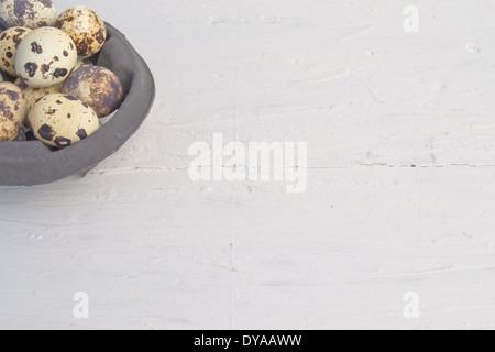 Quail eggs are small and colourful. They can be eaten raw or  cooked. The Quail eggs are in a carton. Stock Photo