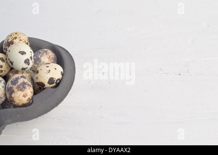 Quail eggs are small and colourful. They can be eaten raw or  cooked. The Quail eggs are in a carton. Stock Photo