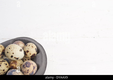 Quail eggs are small and colourful. They can be eaten raw or  cooked. The Quail eggs are in a carton. Stock Photo