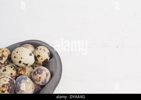 Quail eggs are small and colourful. They can be eaten raw or  cooked. The Quail eggs are in a carton. Stock Photo