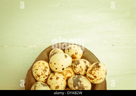 Quail eggs are small and colourful. They can be eaten raw or  cooked. The Quail eggs are in a carton. Stock Photo