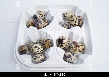 Quail eggs are small and colourful. They can be eaten raw or  cooked. The Quail eggs are in a carton. Stock Photo