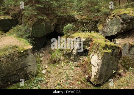 A destroyed Bunker in the Westwall line in Hürtgenwald Forest Eifel Stock Photo