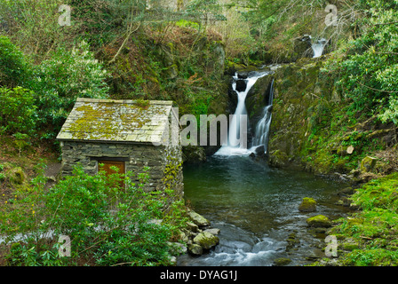 Small waterfall on Rydal Beck, in the grounds of Rydal Hall, Rydal, Lake District National Park, Cumbria, England UK Stock Photo