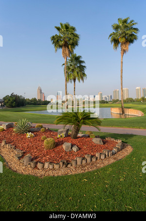 Image of Palm Trees at Emirates Golf Club in Dubai, UAE Stock Photo