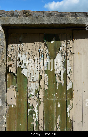 Peeling paint on wooden door. Brown, cream, blue, green. Stock Photo
