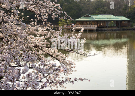 Nakajim Tea House in Hamarikyu Gardens in the Ginza district of Tokyo. Stock Photo