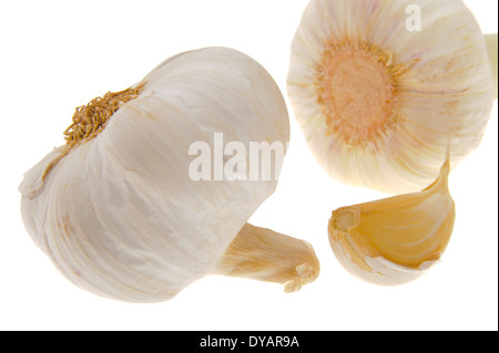 garlic vegetable isolated