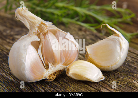 garlic vegetable