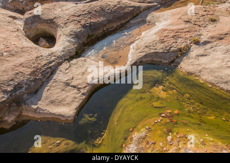 Rock pools carved by a creek harbouring filament algae and clean ...