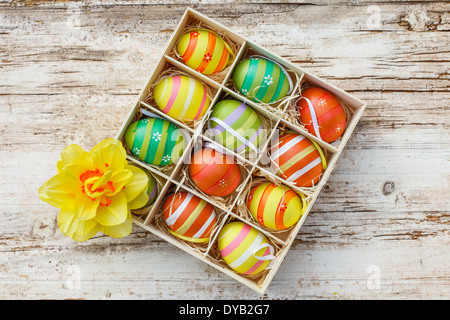 Colored eggs in a box with daffodil Stock Photo