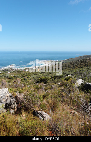 Diagonal hiking trail on Table Mountain with Camps Bay in the background Stock Photo