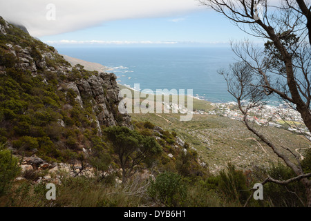Diagonal hiking trail on Table Mountain with Camps Bay in the background Stock Photo