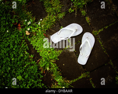 Jandals Stock Photo