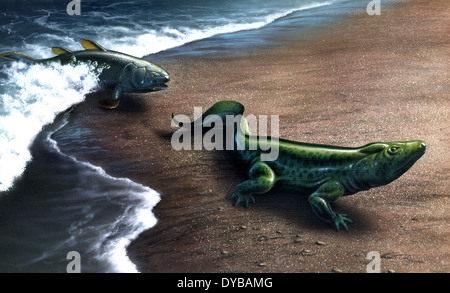 Artist's concept depicting the evolution of a lobe-finned fish to an amphibian. Stock Photo