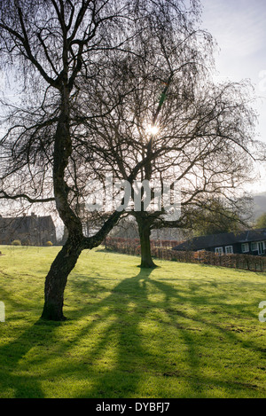 Blockley village green in early morning spring sunshine. Cotswolds, Gloucestershire, England Stock Photo