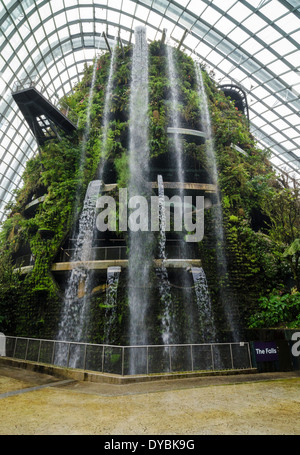 The Falls, a 35m indoor waterfall at the Cloud Forest Conservatory, Gardens by the Bay, Singapore Stock Photo