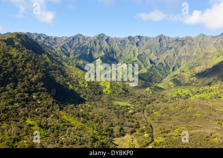 Stunning green rainforest landscape in the center of Kauai, Hawaii. Aerial shot from helicopter. Stock Photo