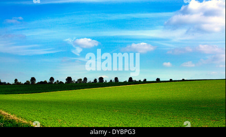 xp windows copy scene Blue sky fluffy white clouds green field country Stock Photo
