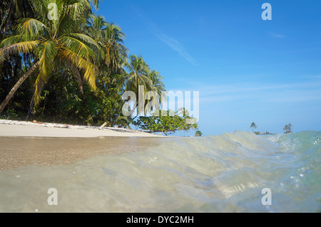 Small waves on a sandy beach with tropical vegetation viewed from the water surface, Caribbean sea Stock Photo