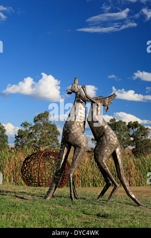 Fighting Kangaroos in the Sculpture Garden at Mistletoe Wines, Pokolbin, Hunter Valley Australia Stock Photo