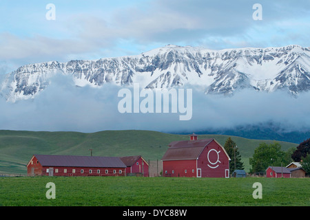 The agricultural and ranching area near Joseph, Oregon lies below the Wallowa Mountains in the spring. USA Stock Photo