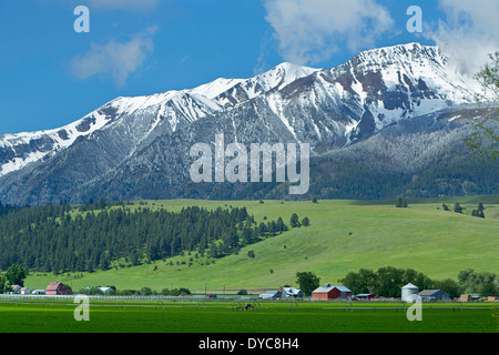 The agricultural and ranching area near Joseph, Oregon lies below the Wallowa Mountains in the spring. USA Stock Photo