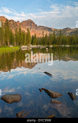 Warren Peak and Warren Lake in the Anaconda Pintler Wilderness of Montana. Summer. USA Stock Photo