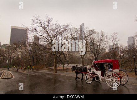 Horse and carriage on a rainy day in Central Park New York Stock Photo