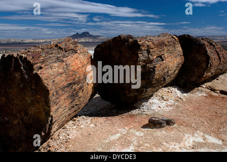 Petrified Forest, Monumento Nacional Bosques Petrificados, Patagonia, Province of Santa Cruz, Argentina Stock Photo