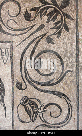 Ancient mosaic pattern in Caracalla Baths. Rome, Italy Stock Photo