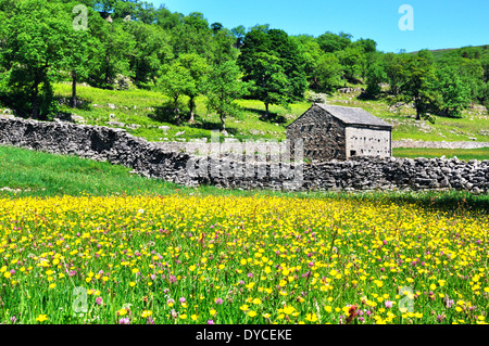 barn and flower hayfield in the yorkshire dales Stock Photo