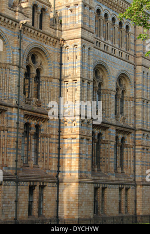 Facade of the National History Museum in London, UK Stock Photo