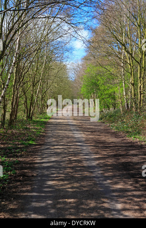 The Trans Pennine Trail, Upper Don Trail, Wortley, Barnsley, South Yorkshire, England, UK. Stock Photo