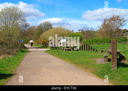 Jogger on the Trans Pennine Trail, Upper Don Trail, Wortley, Barnsley, South Yorkshire, England, UK. Stock Photo