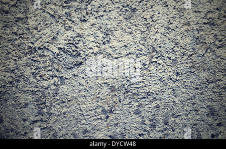 Grungy and old concrete wall background texture. Stock Photo