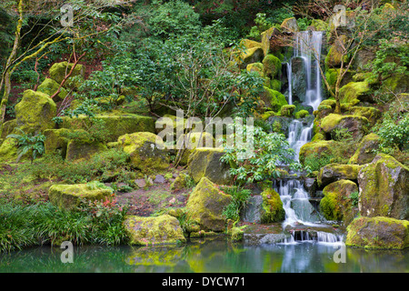 Asian Garden Waterfall flowing into a still pond surrounded by moss covered rocks, trees, and other foliage Stock Photo