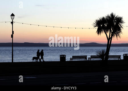 Largs, North Ayrshire, Scotland, UK, Monday, 14th April, 2014. A couple walking their dog at sunset on the seaside promenade beside the Firth of Clyde after a fine sunny day Stock Photo