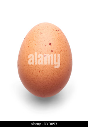 A fresh hens egg with speckles on a white background. Stock Photo