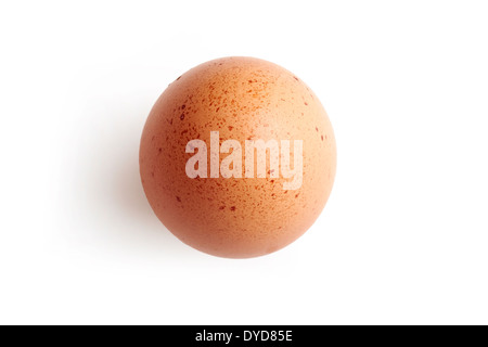 A fresh hens egg with speckles on a white background. Stock Photo