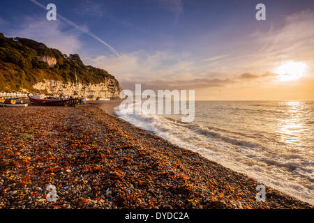 A view along the coastline at Beer in Devon. Stock Photo