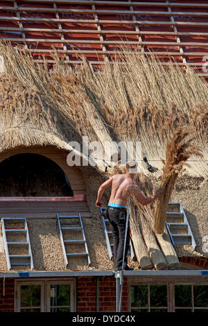 Craftsman working on a traditional reed thatched roof. Stock Photo