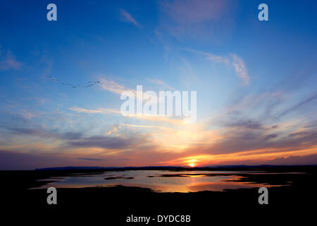 A view of Rye Harbour Nature Reserve at sunset. Stock Photo