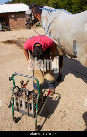 A farrier preparing a hoof. Stock Photo