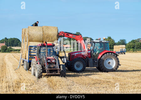 Tractor loading round straw bales on to trailer. Stock Photo