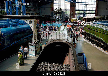 Six A4 Pacific Class locomotives on display at the National Railway Museum. Stock Photo