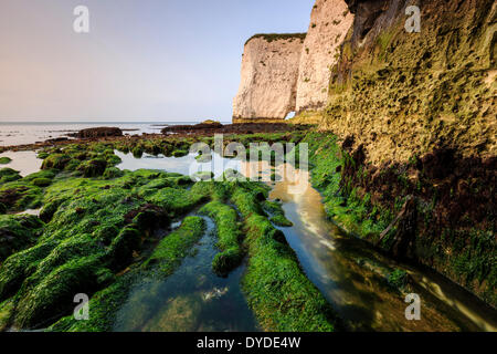 The bottom of the cliffs at Handfast Point on a very low tide. Stock Photo