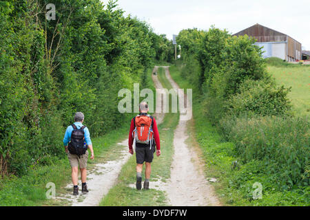 Late middle aged man and woman walkers in shorts on country dirt track with backpacks. Stock Photo