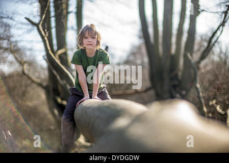 Seven year old boy climbing a tree. Stock Photo